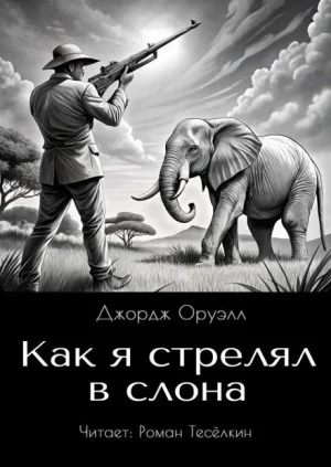 Как я стрелял в слона