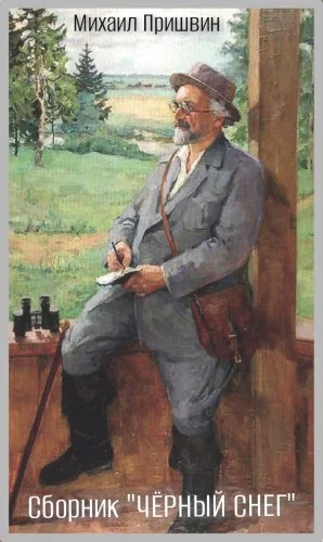 Сборник: Кладовая солнца