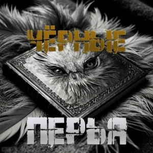 Чёрные перья