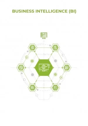 Business Intelligence (BI)