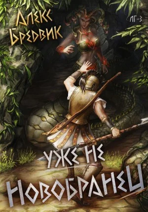 RPG: Уже не новобранец. Том 3