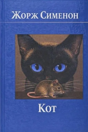 Кот