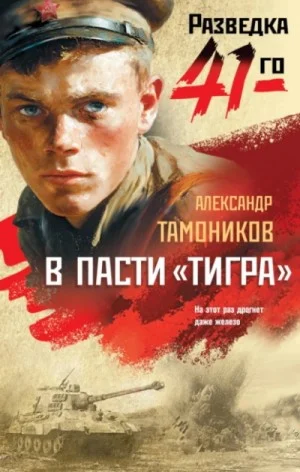 Группа Глеба Шубина. В пасти «тигра»