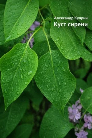 Куст сирени