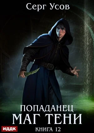 Попаданец. Маг Тени. Книга 12