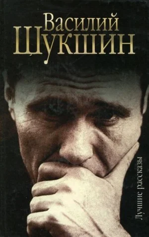 Рассказы. Часть 4