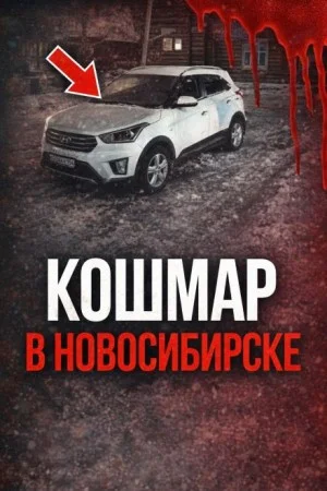 Поехала на сделку и исчезла