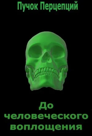 До человеческого воплощения