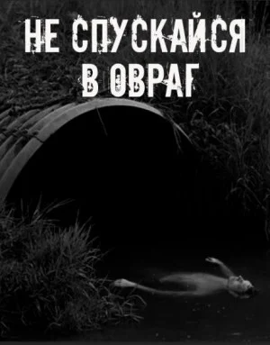 Не спускайся в овраг