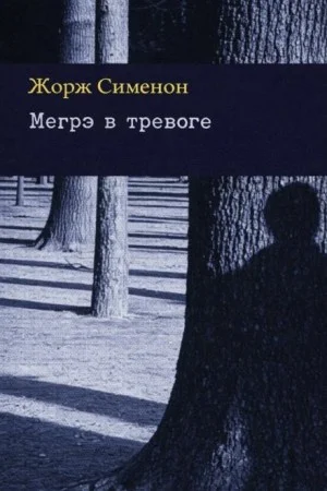Мегрэ в тревоге
